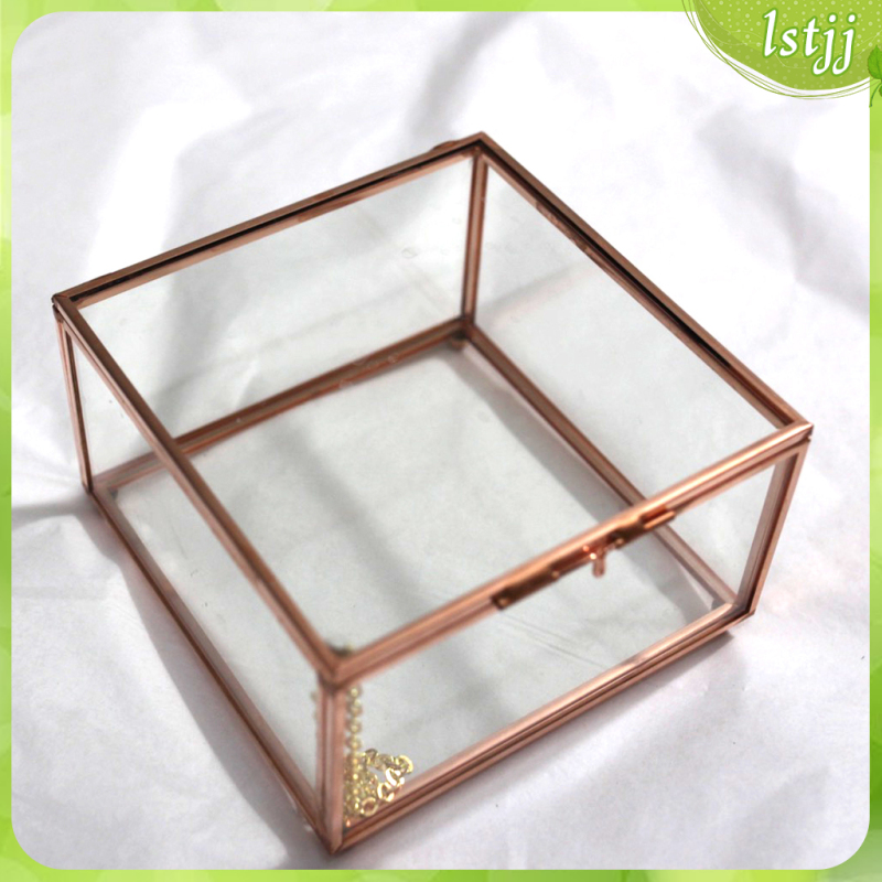 Glass Cuboid Geometric Terrarium Tabletop Air Plant Succulent Moss Fern Pot Box