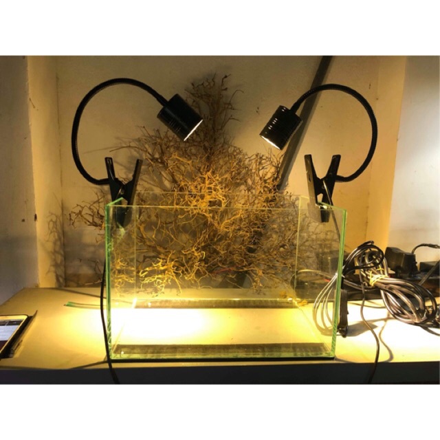 Đèn Rọi Thuỷ Sinh Biotop 3 Chế Độ Màu 3W / 5W / 7W | Vàng - Trắng - Nắng Vàng