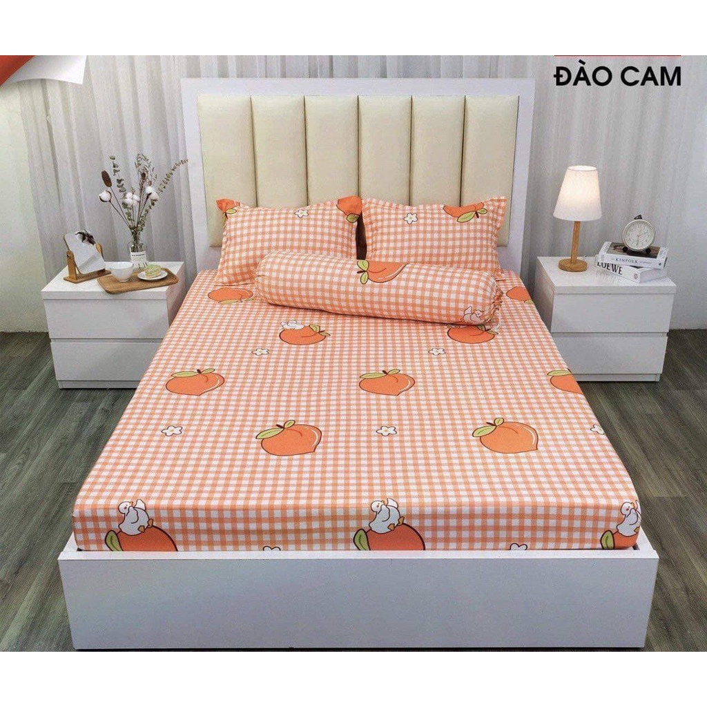 Bộ ga gối poly 4 món siêu rẻ