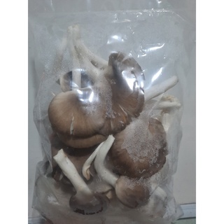 Nấm bào ngư