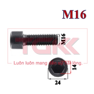 Bulong LGC đầu trụ M16 (30-110mm)