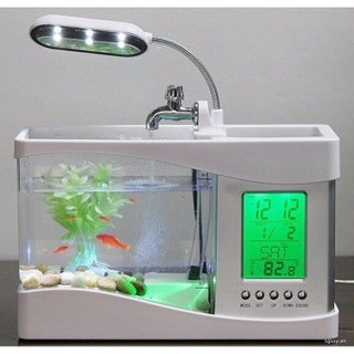 bể cá cảnh + tặng kèm rong rêu sỏi đá