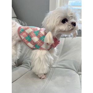 Áo len họa tiết quả trám màu tươi dành cho thú cưng