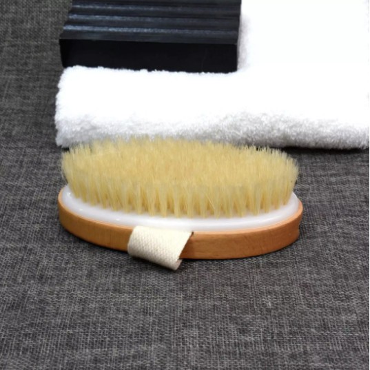 ❤️FREE SHIP❤️ Bàn chải da khô, cây chà lưng tắm, bàn chải tạo bọt chà lưng chính hãng 100% B0123