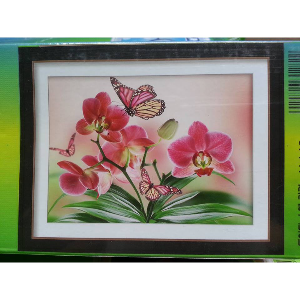Tranh đính đá hoa lan H395