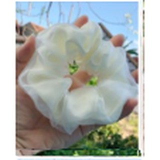 Cột tóc SCRUNCHIES bridal 2 lớp cực đẹp