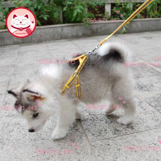 Dây dắt kèm yếm 2 lớp dày dặn ⚡𝐅𝐑𝐄𝐄𝐒𝐇𝐈𝐏⚡ Dây dắt chó mèo