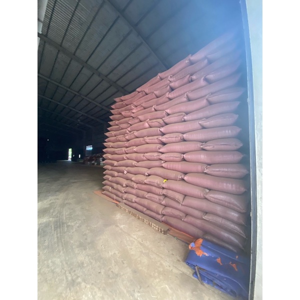 Cà Phê Hạt Robusta s18 Pha Phin | BigBuy360 - bigbuy360.vn