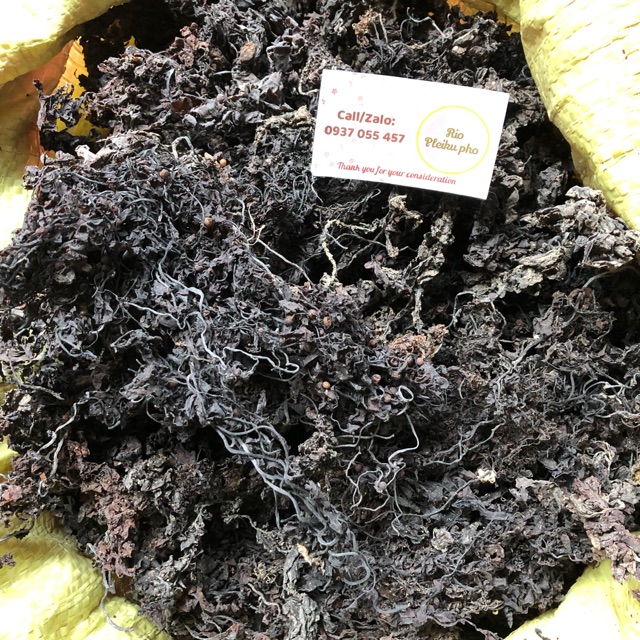 500gr Rong mơ (nấu sâm rong biển)