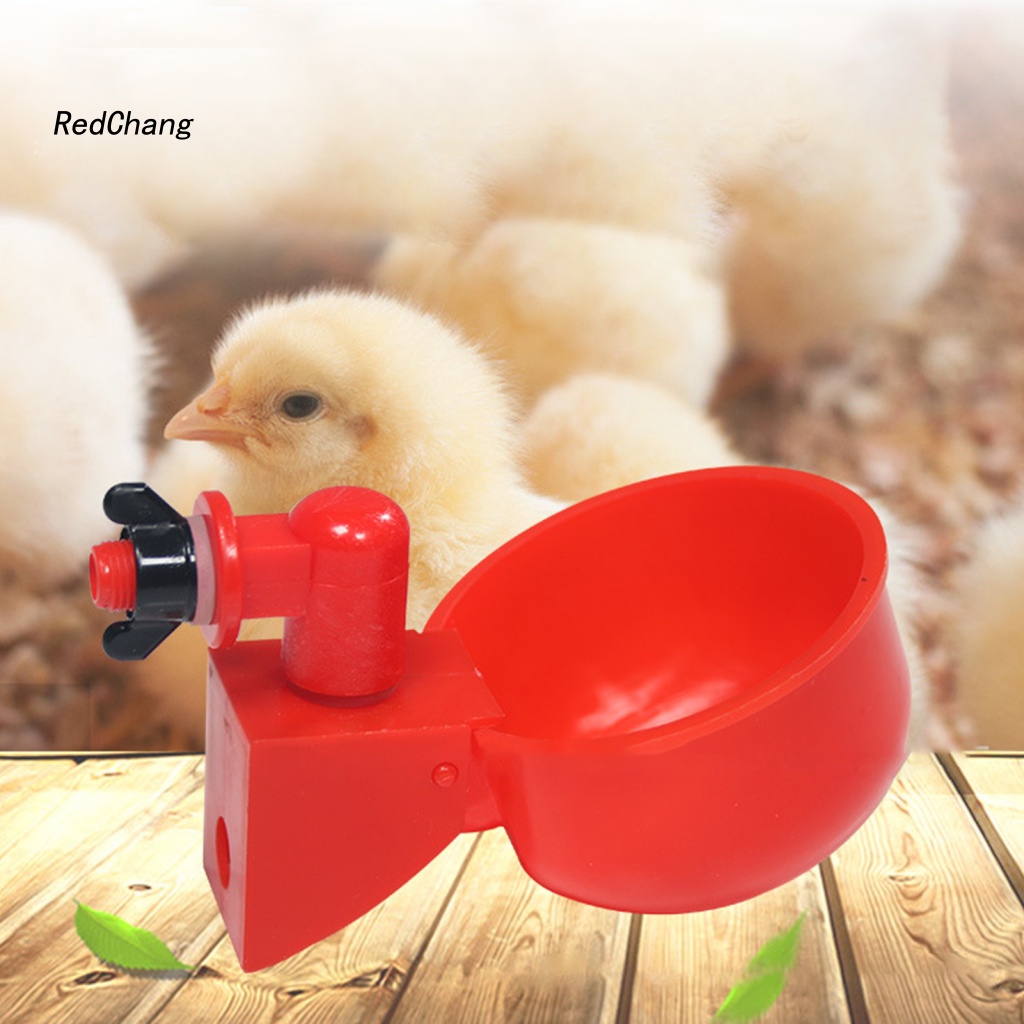 Tô Đựng Nước Uống Bằng Nhựa Hình Chú Gà Dễ Thương