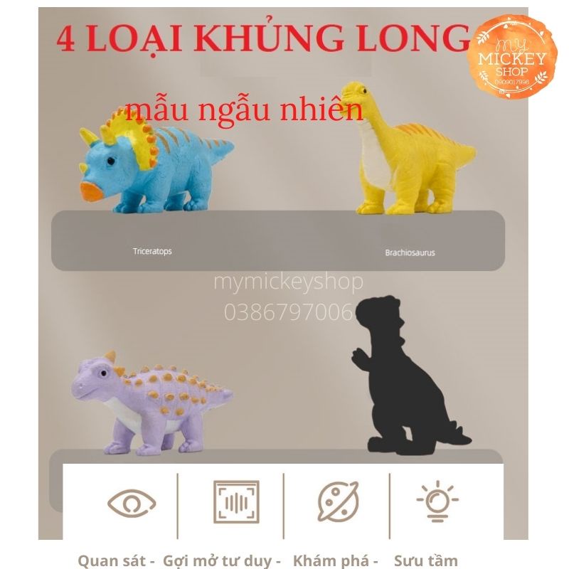 Trò chơi Trứng Khủng Long Tự Nở Trong nước size lớn nhiều mẫu  chính hãng Bat Bunny My Mickey Shop