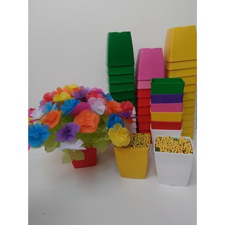 CHAU HOA  - VUÔNG NHỎ (SIZE 9*9)