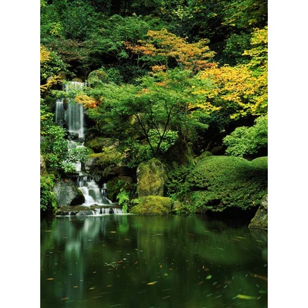 Tranh dán tường phong cảnh thác nước chảy êm đềm, thác mềm mại lấp lánh dưới ánh mặt trời