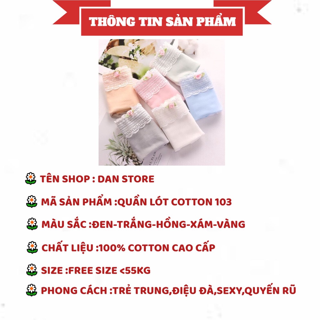 Quần Lót Nữ - Quần Lót Cotton Nữ viền ren phối hoa nhỏ điệu đà cá tính DAN STORE MÃ 103