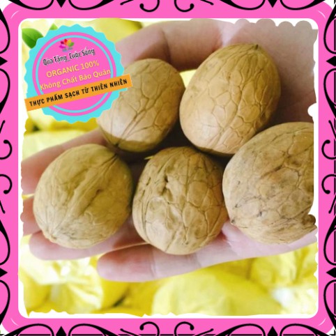 [Mới ra lò] Quả óc chó nhập khẩu Mỹ BỔ NÃO, TỐT CHO TIM MẠCH (500g) – Tặng kèm dụng cụ tách vỏ | BigBuy360 - bigbuy360.vn