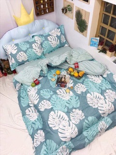 Drap phao nhập