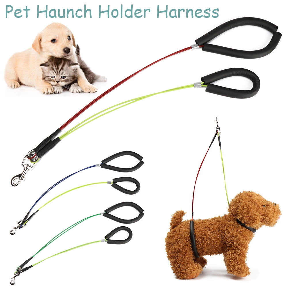 WONDERFUL Haunch Holder Dog Cat Beauty Treatments Restraint Loop Pet Grooming Leash Standing Training