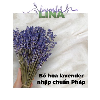 [TOHULINA3] Hoa khô Lavender nhập Pháp trang trí, decor