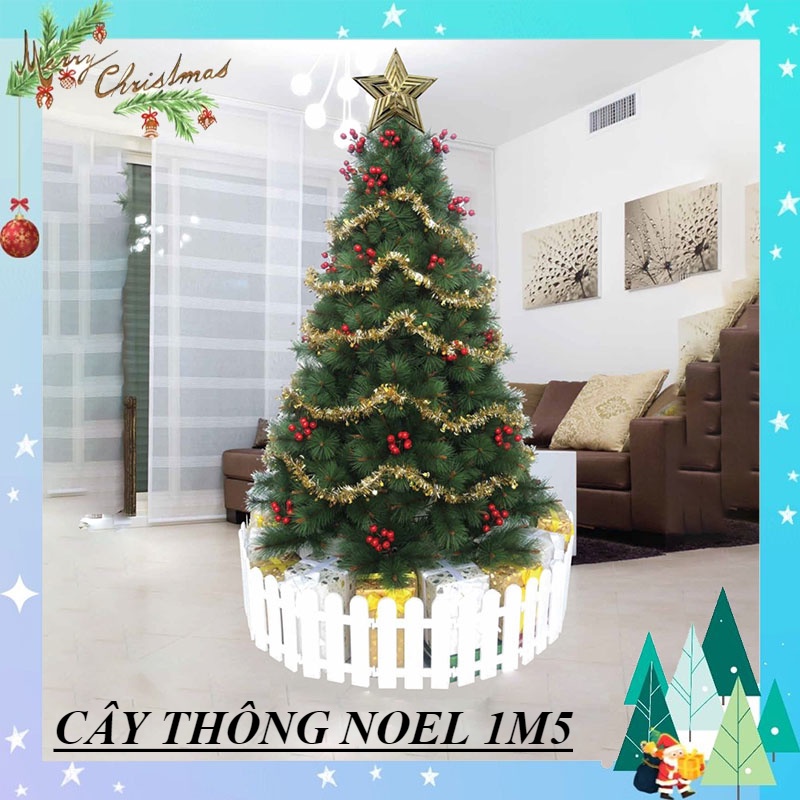 Cây thông noel 1m5, cây thông noel cước đầu vàng gắn trái đỏ 1m5 - cây tự động xòe cành trang trí giáng sinh
