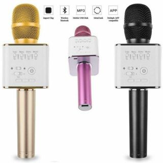 Micro kèm loa hát Karaoke Q9