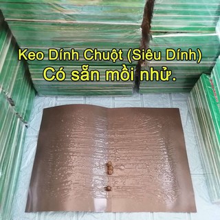 MIẾNG DÁN BẪY CHUỘT⚡️FREE SHIP⚡️ SIÊU DÍNH
