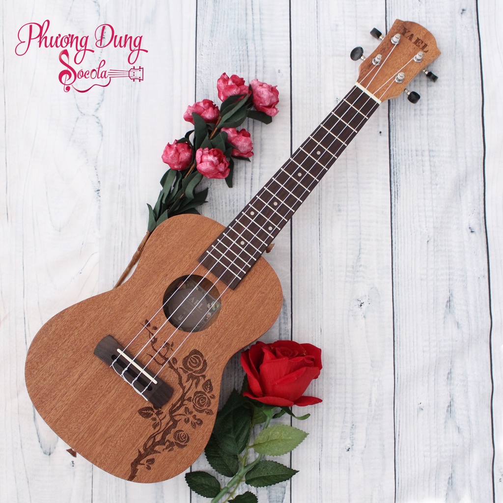 Đàn Ukulele Gỗ chính hãng Yael size Concert - HOA HỒNG