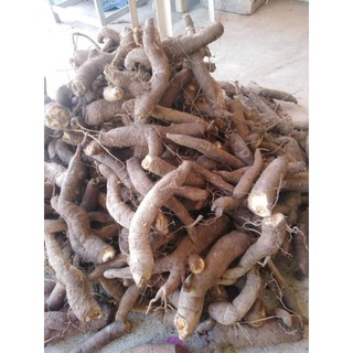 củ gai tươi 1kg( Hàng Loai 1 Chất Lượng Nhất)