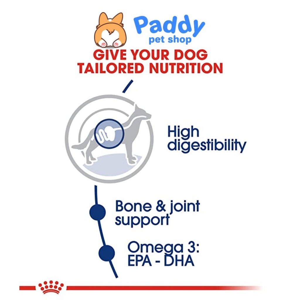 [1kg] Royal Canin Maxi Adult hạt cho chó trưởng thành giống lớn 26-44kg