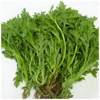20g Hạt giống Rau Tần ô