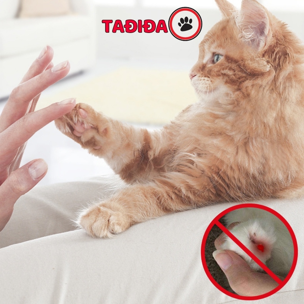 Máy mài móng cho Chó Mèo Thú Cưng, Dụng cụ dũa móng thú cưng - Tadida Pet