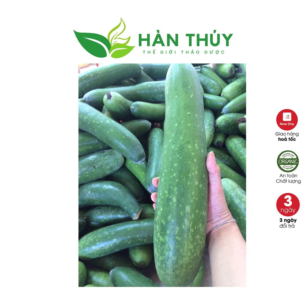 Bí Đao Sấy Khô BIDAOHT03 Trà Bí Đao HÀN THÚY Loại 1 Nhà Trồng Thơm Ngon Mát Gan, Thanh Nhiệt 1kg | BigBuy360 - bigbuy360.vn