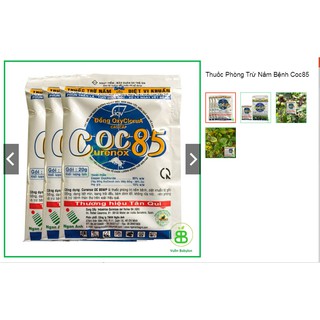 TRỪ NẤM COC 85