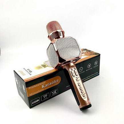 Micro karaoke bluetooth SD10 chính hãng BH 1 đổi 1