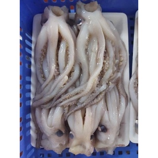 Râu mực to 1 kg