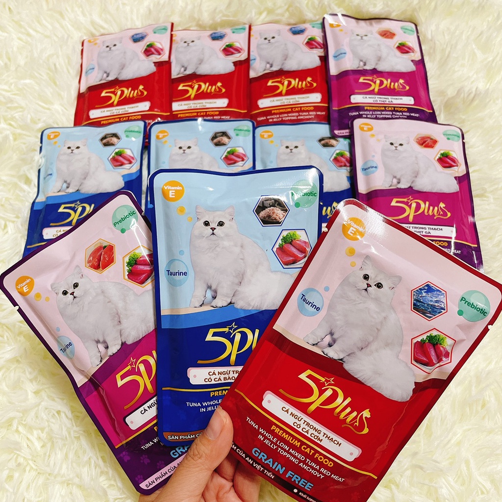 Pate Catchy 5 Plus cho mèo dạng thạch - Gói 70g 3 vị