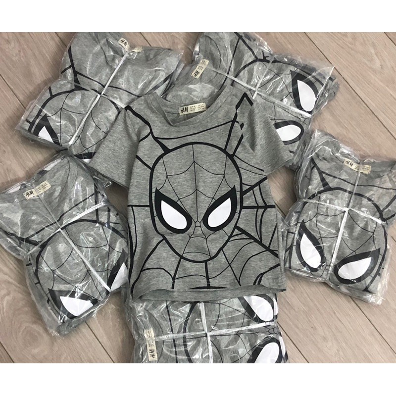 Áo cộc HM Spiderman người nhện 1-10Y (có ảnh thật)