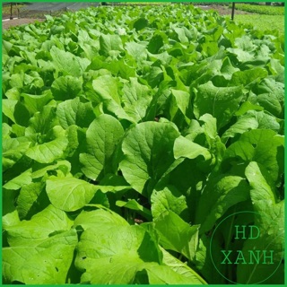 Phân trùn quế viên nén tan chậm gói 500g