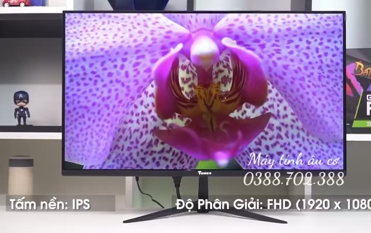 [Mã INBAU30 giảm 30K đơn 199K] Màn Hình TOMKO T2421F - 24" 5ms 75Hz IPS Full HD - Hàng Chính Hãng | BigBuy360 - bigbuy360.vn