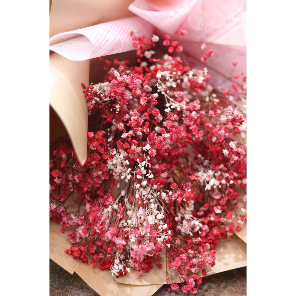 Gypsophila🌸Hoa Baby Khô🌸FREE SHIP🌸Trang trí nhà cửa, events siêu xinh