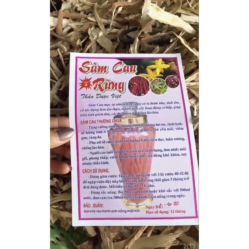 1KG SÂM CAU RỪNG LOẠI 1 | BigBuy360 - bigbuy360.vn