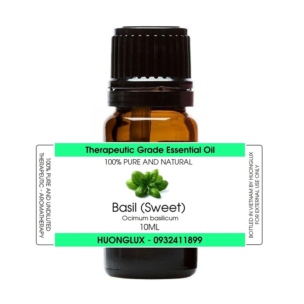 Tinh dầu húng tây Basil và Sweet Basil Essential Oil (Húng quế)