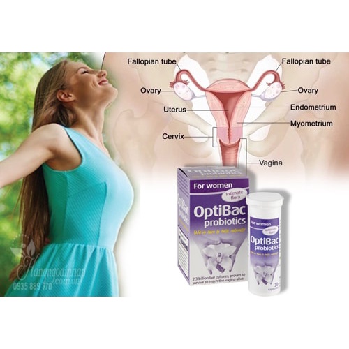 Men vi sinh Optibac tím Optibac for women hàng chính hãng UK hộp 30 viên