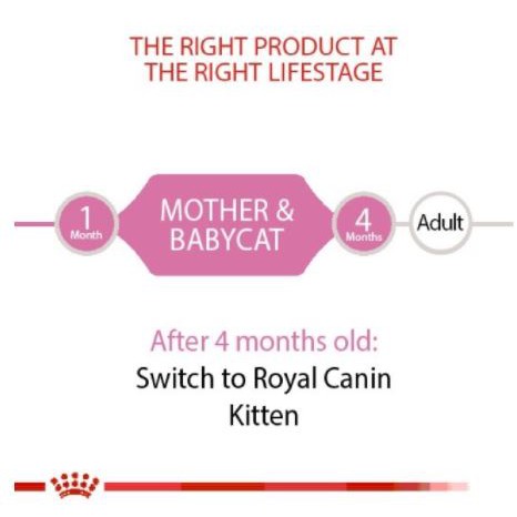 [Thức Ăn Cho Mèo] Royal Canin Mother And Babycat 195g – Đồ Ăn Khô Cho Mèo – Thương Hiệu Từ Pháp