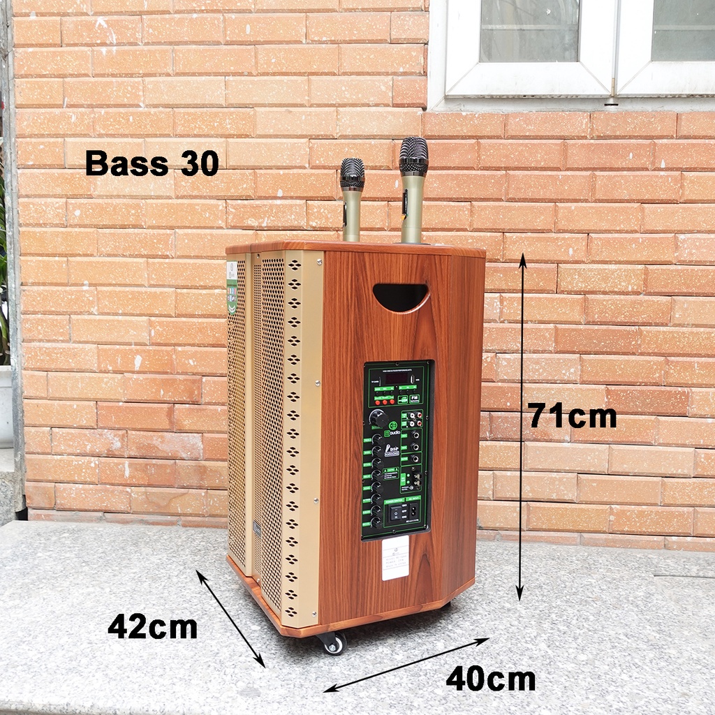 Loa Kéo MC 12 Plus Loa kẹo kéo bass 30 hát karaoke tích hợp bluetooth tích hợp 2 Micro không dây chính hãng