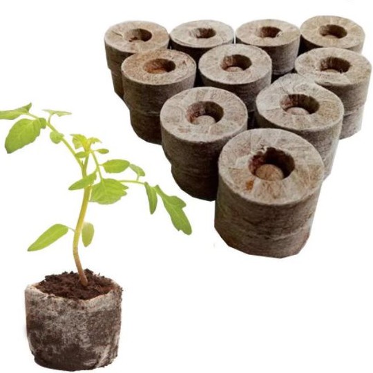 20 viên nén ươm hạt giâm cành - viên nén xơ dừa ươm hạt