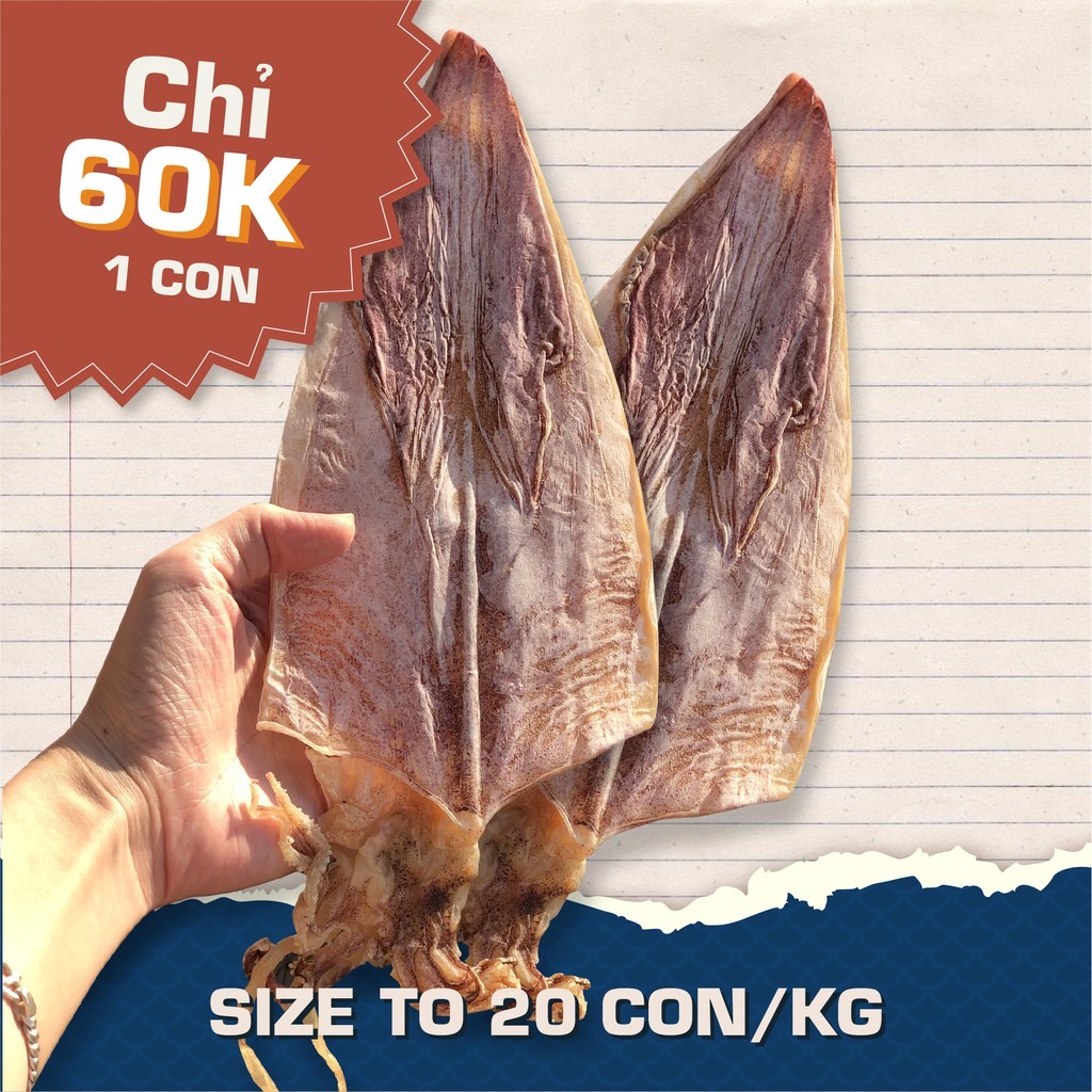 🦑 1 Chú Mực Khô Câu Loại 1 | Size To 20-25cm Giá Siêu Rẻ | Dầy Mình Ngọt Thịt