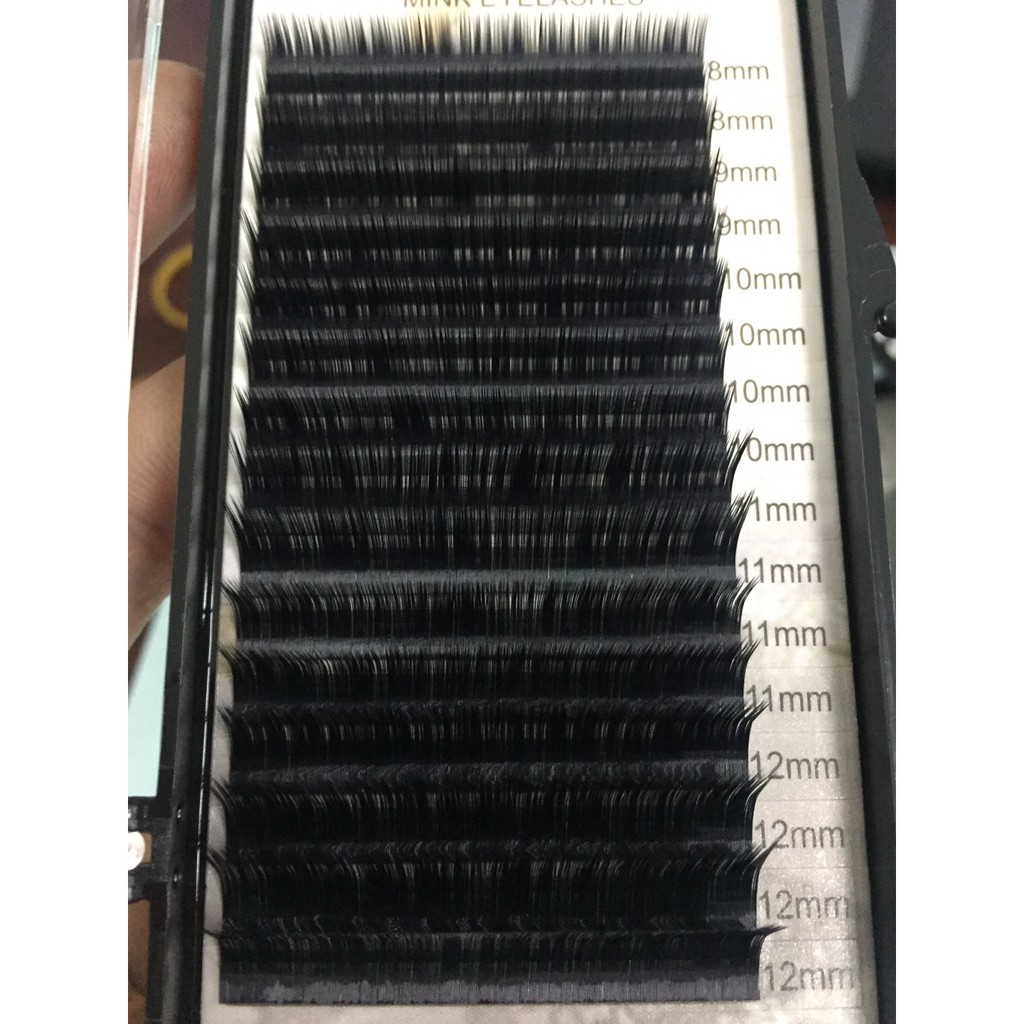 Mi khay độ cong mix L