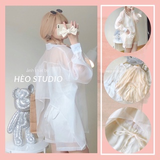 Set áo sơ mi voan nơ kèm quần hèo studio