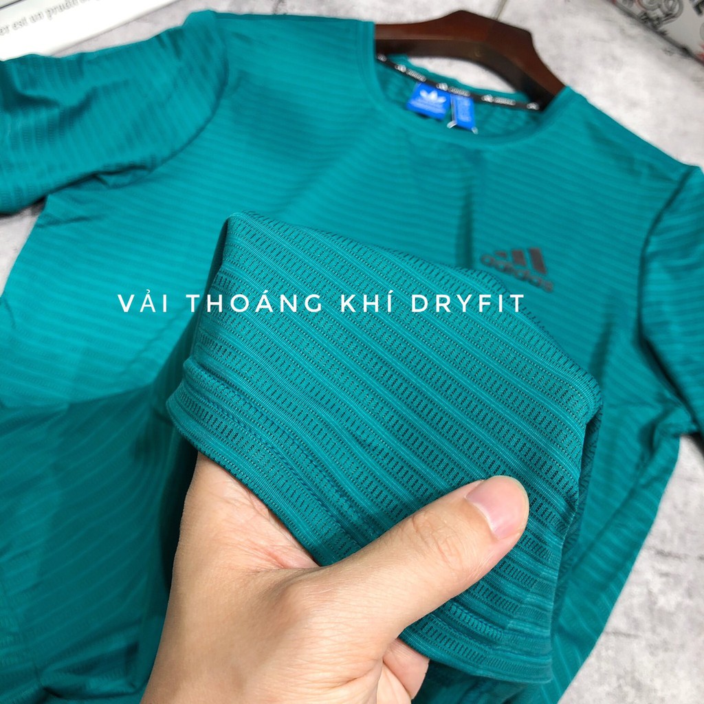 Bộ thể thao hè ngắn tay tập gym nam cao cấp xuất khẩu BCT 03 - 006