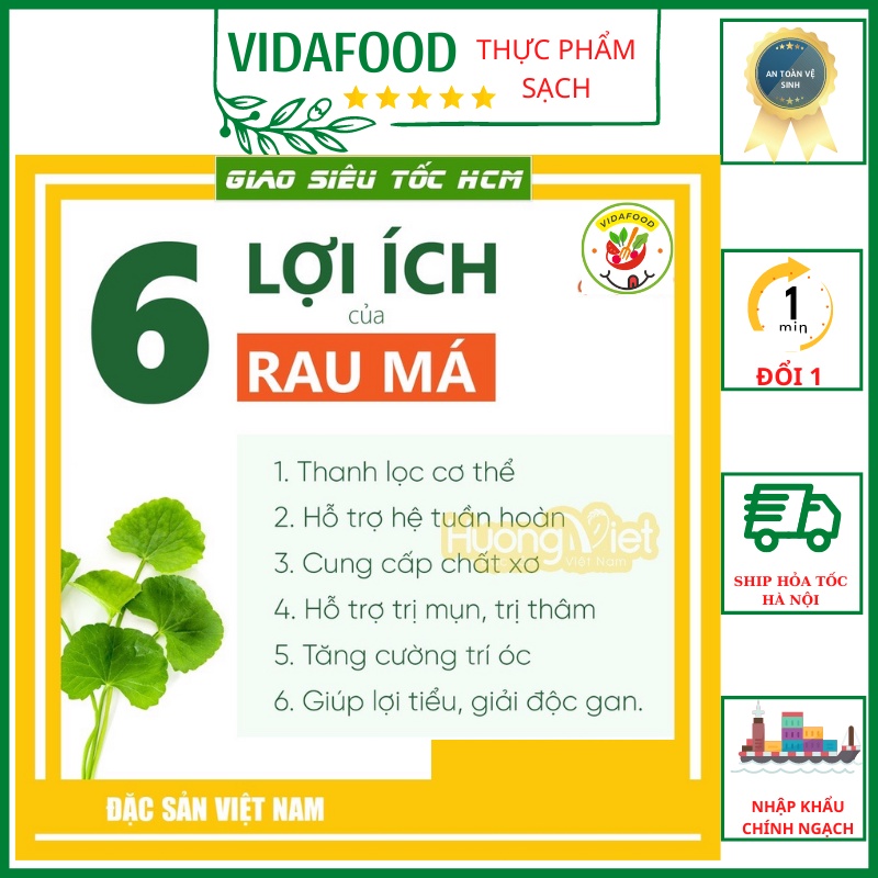Bột Rau Má 100% Nguyên Chất Sấy Lạnh Hộp 500g Vitamin Và Khoáng Chất Giúp Tăng Cường Sức Khỏe [Ship Hỏa Tốc Hà Nội]